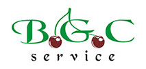 bgc service logotipas